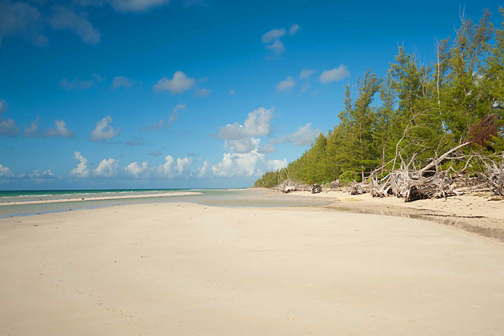 The Lucayan National Park, on Grand Bahama Island’s north coast, has wooden trails winding through a thick mangrove swamp. Follow the walkways to Gold Rock Beach, one of The Bahamas’ most beautiful beaches. When the tide is out, the beach stretches into the horizon, lapped by warm, shallow seas.  (Photo Credit: © Lyndah Wells)